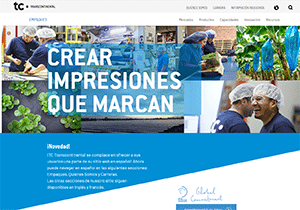 Website in Spanish 