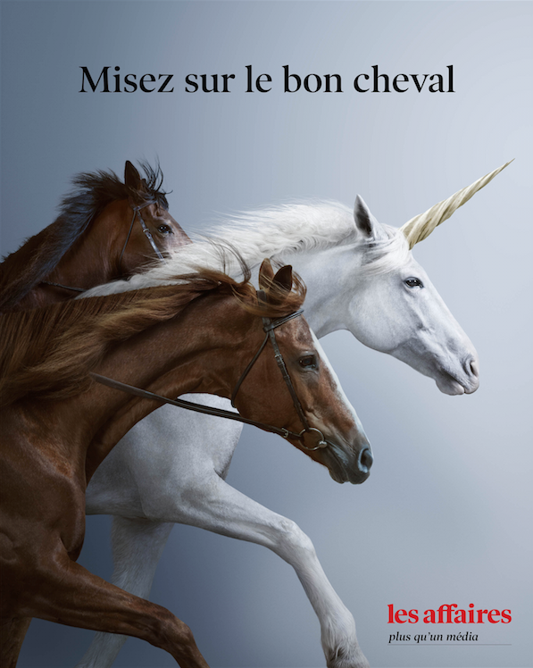 Misez sur le bon cheval